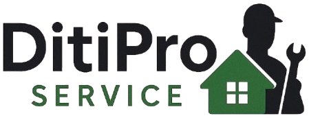 DitiPro Service